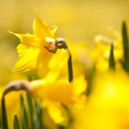 Tatil Evi Serene Retreat In Chapel Stile By Letmestay